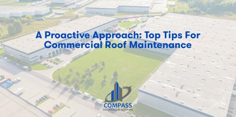 A Proactive Approach: Top Tips for Commercial Roof Maintenance